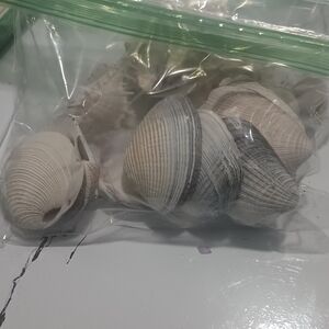 Natural Washed Seashell Mix - Beach Decor